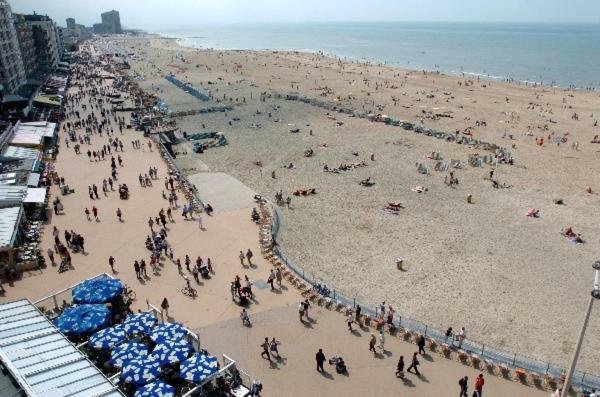 Toffe Studio Op 300M Van De Zeedijk Van Oostende Ngoại thất bức ảnh